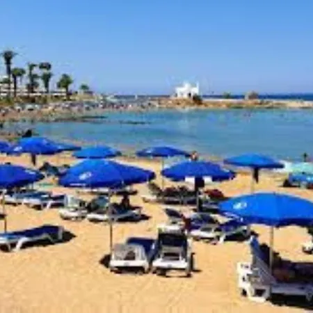 Pomelo * פרוטאראס